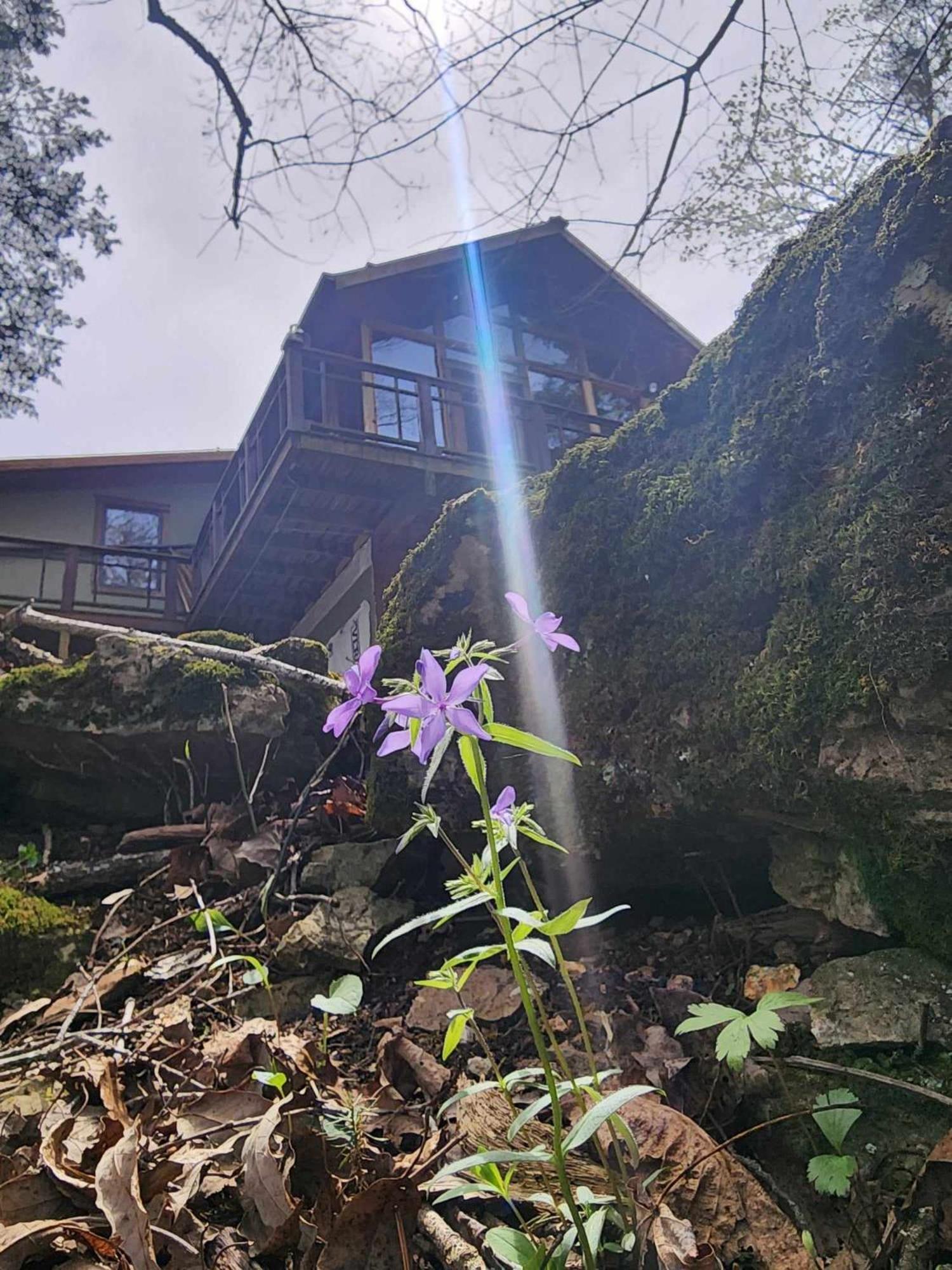 7 Min To Downtown Eureka-Nature Retreat-Fire Pit Eureka Springs Exterior foto